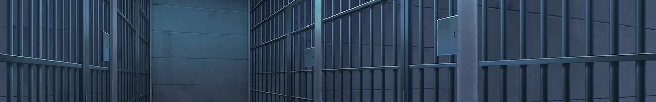 World banner